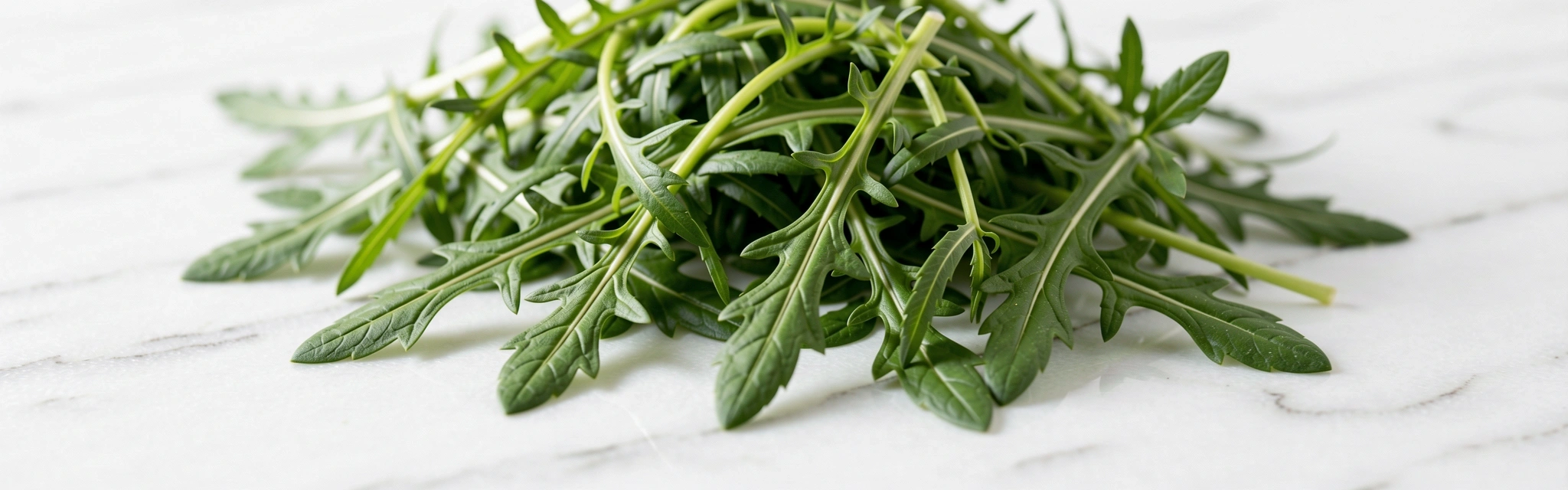 Naučni pristup ishrani i svežim namirnicama